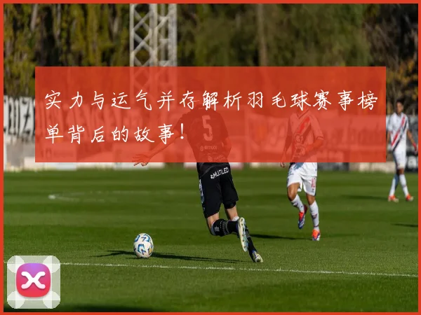 实力与运气并存解析羽毛球赛事榜单背后的故事！